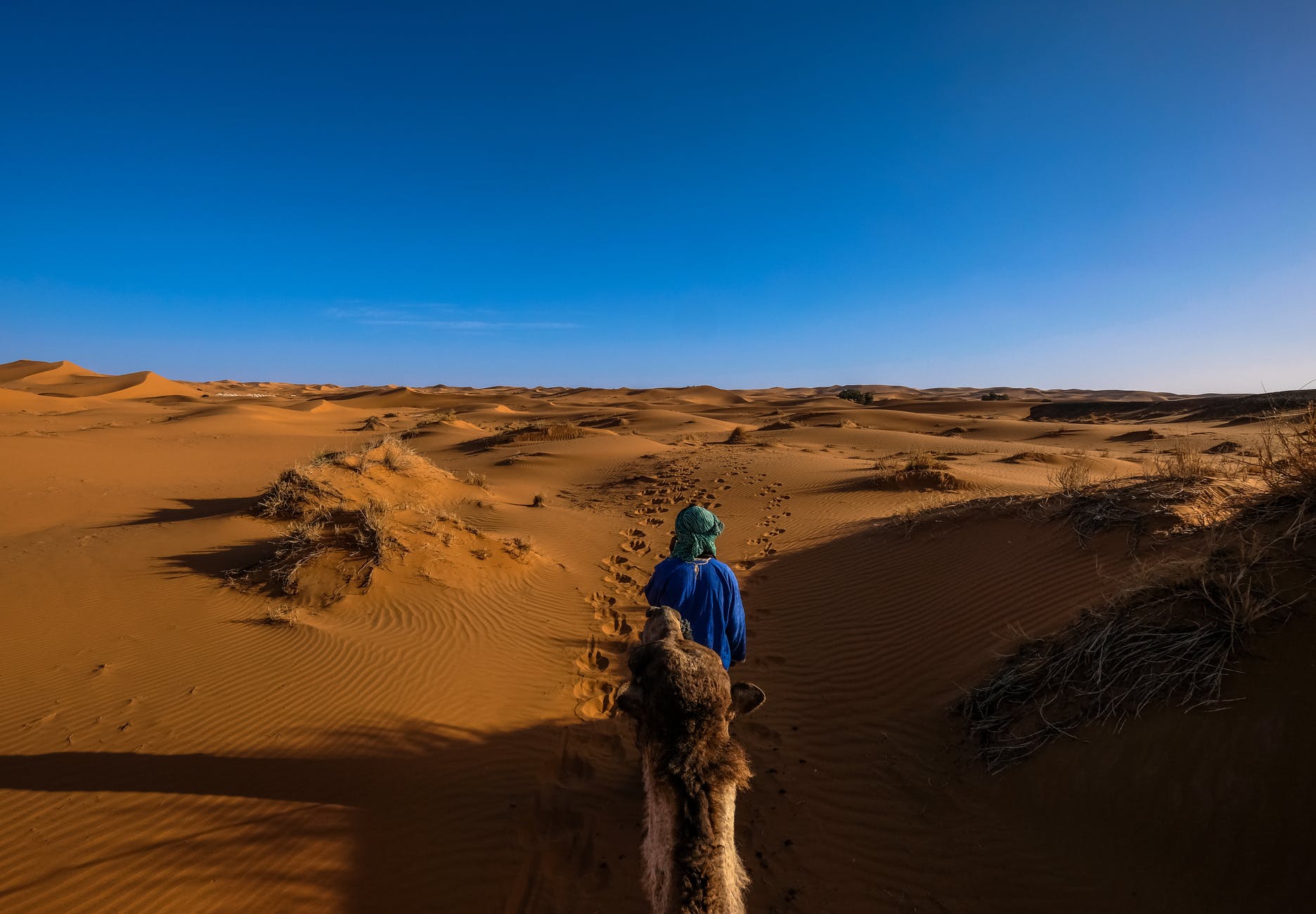 man wearing blue jacket riding camel walking on desert