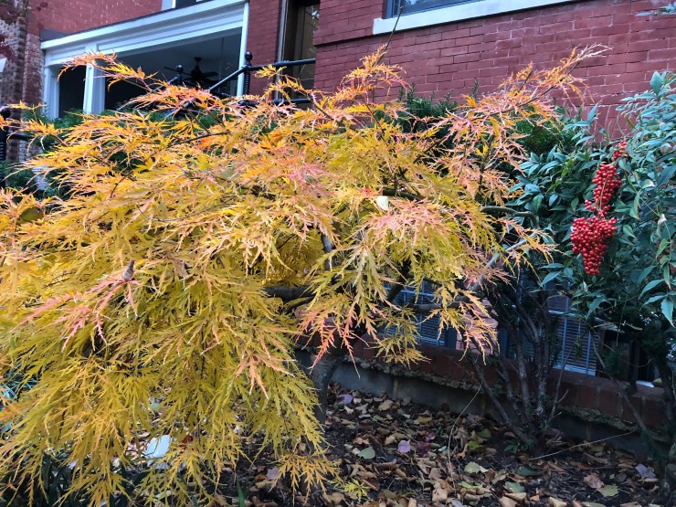 WHkgtPb3QYSctfIyLCfUDw