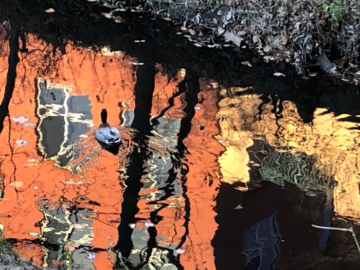 z5GJaG+FT02sGI0Xq5LF3g