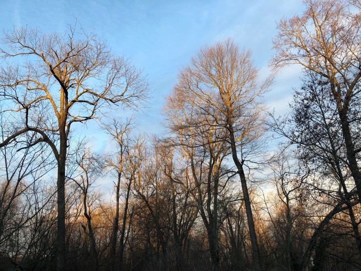 Q0O7ijjJQm6frv9aVRDNTQ