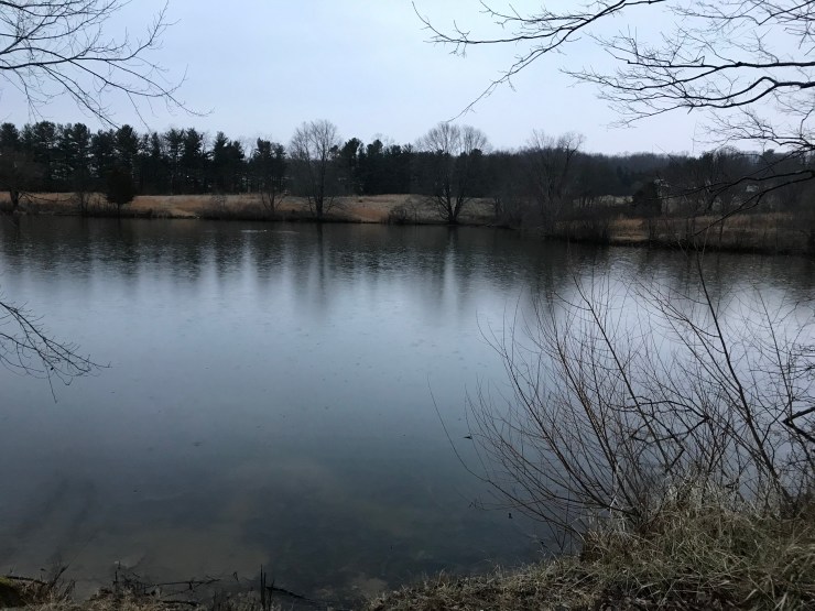 hDS9DzfzSiWUt3KOK66rmA