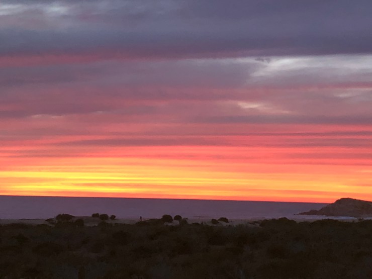 4a%rw+Y3RN+VCdK+o1jACQ