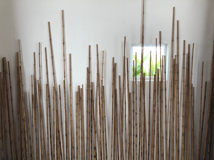 CKx%ku7RTf66quvoK0CBEw