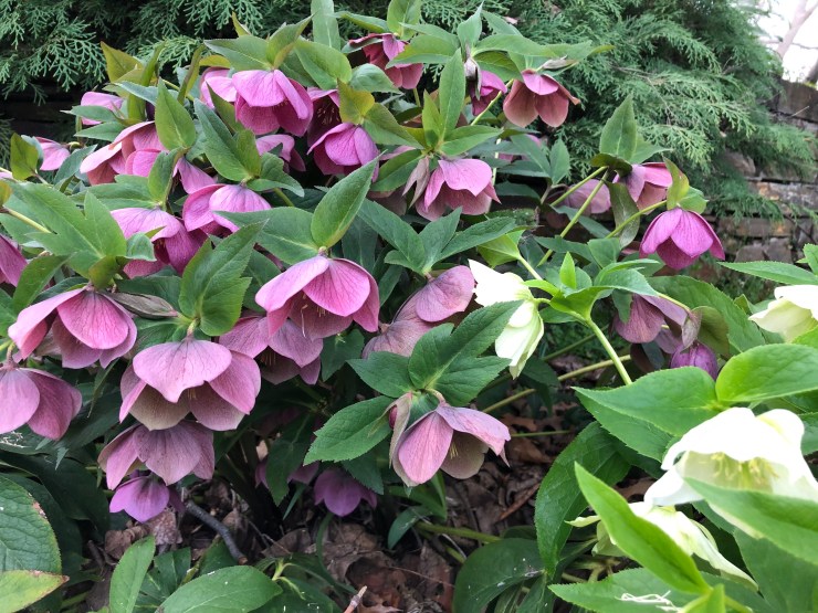 T8juizk1TxO5iuy8bv86WQ