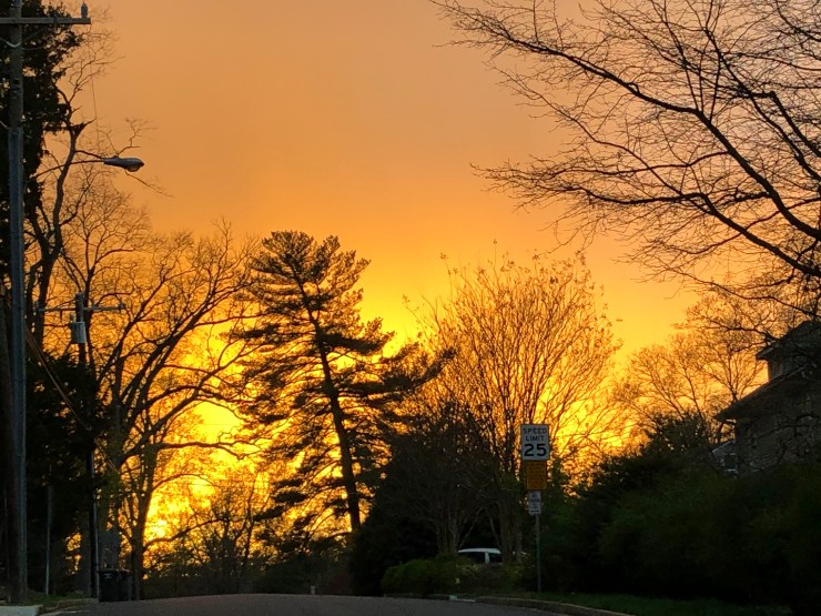 kK8CVLl5S56WPQ+fPqF8ZQ