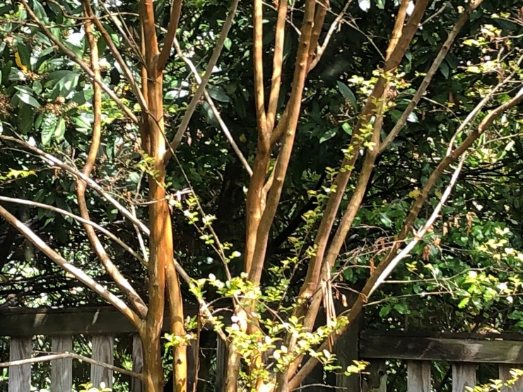 CmjjjZc1TxORguMnm0IzdA