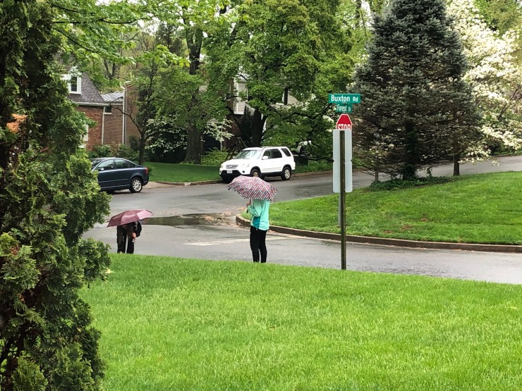 LzGI2MaOR06cCEgvKCvIpQ