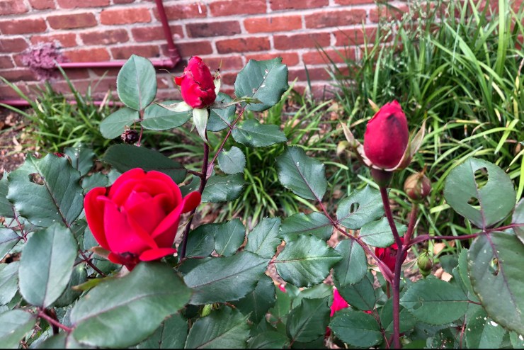 ywlOPbhqRb2b3avd1cfIeA