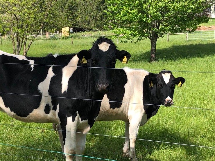 zao7JxqSQ12pA%Vwb6gdvA